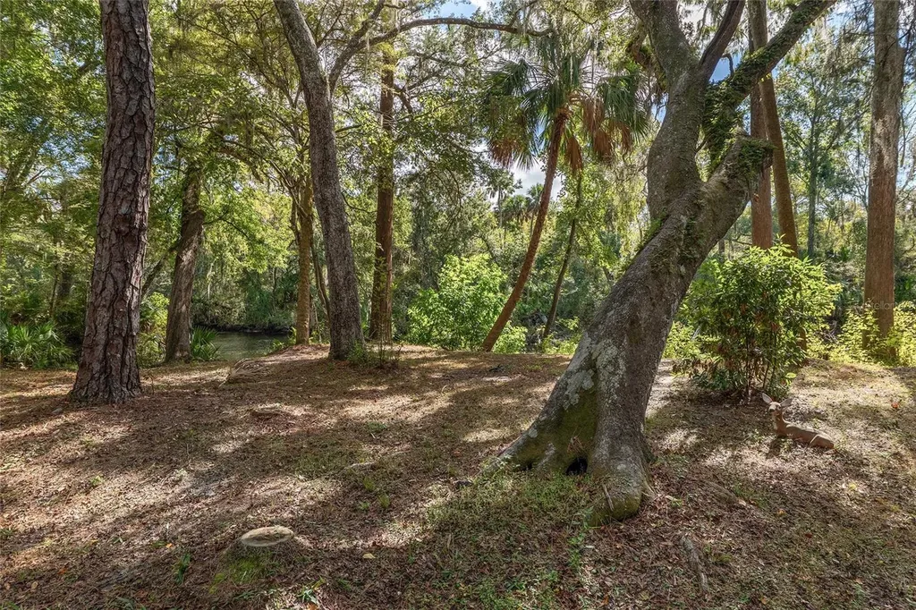 90 Winding River Lane Inglis FL 34449