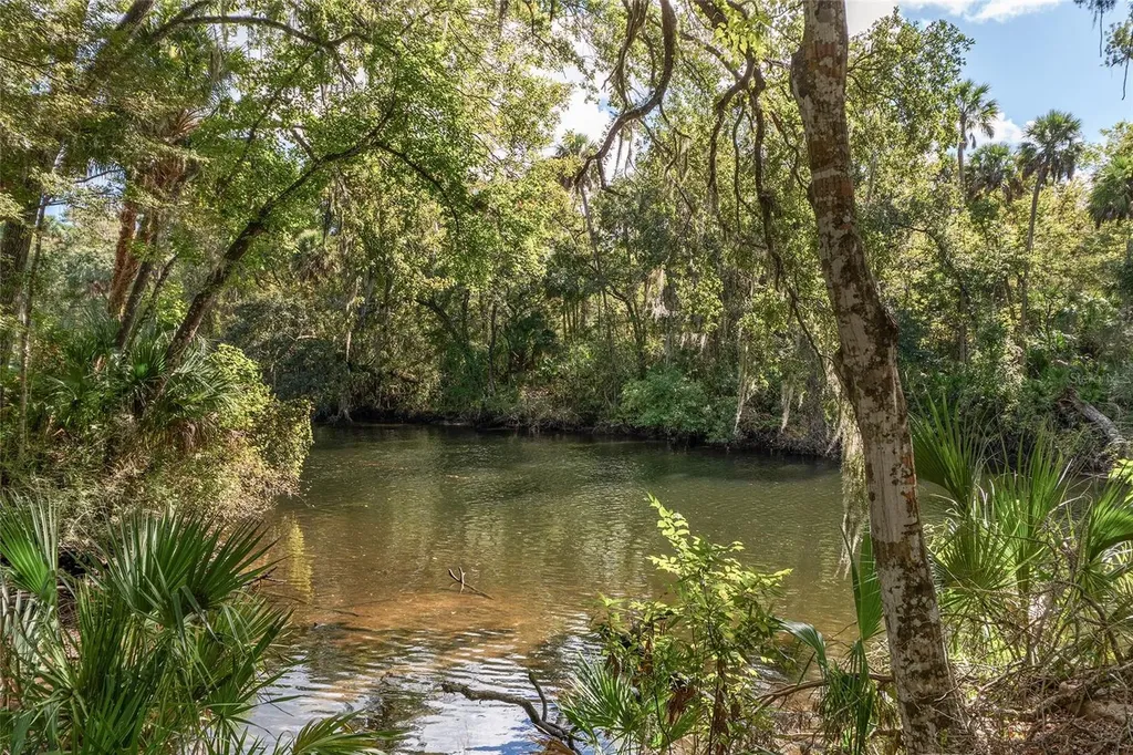 90 Winding River Lane Inglis FL 34449