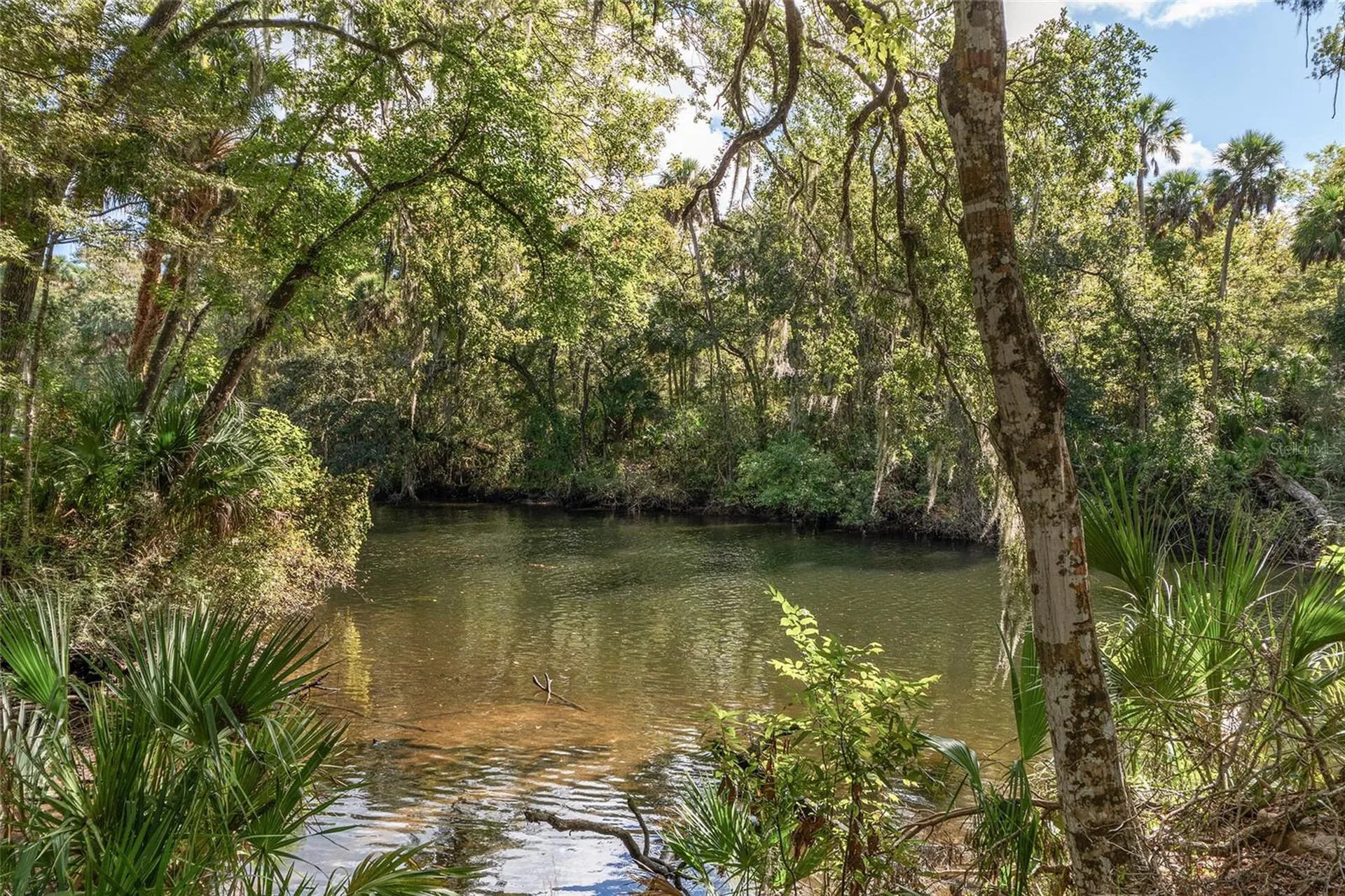 90 Winding River Lane Inglis FL 34449