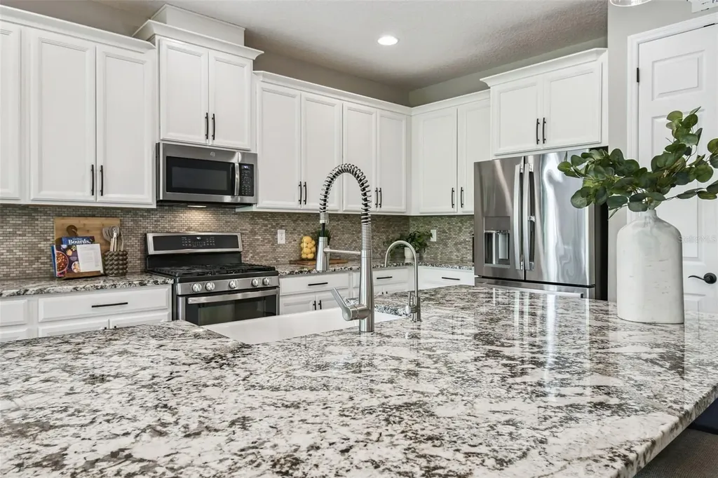 2019 Panoramic Circle Apopka FL 32703