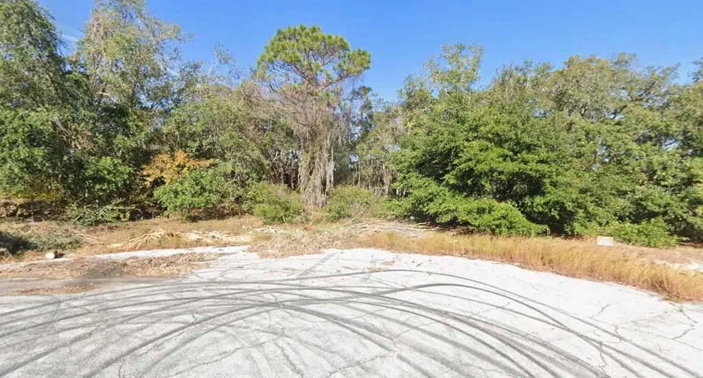 1206 Vernon Lane Kissimmee FL 34759