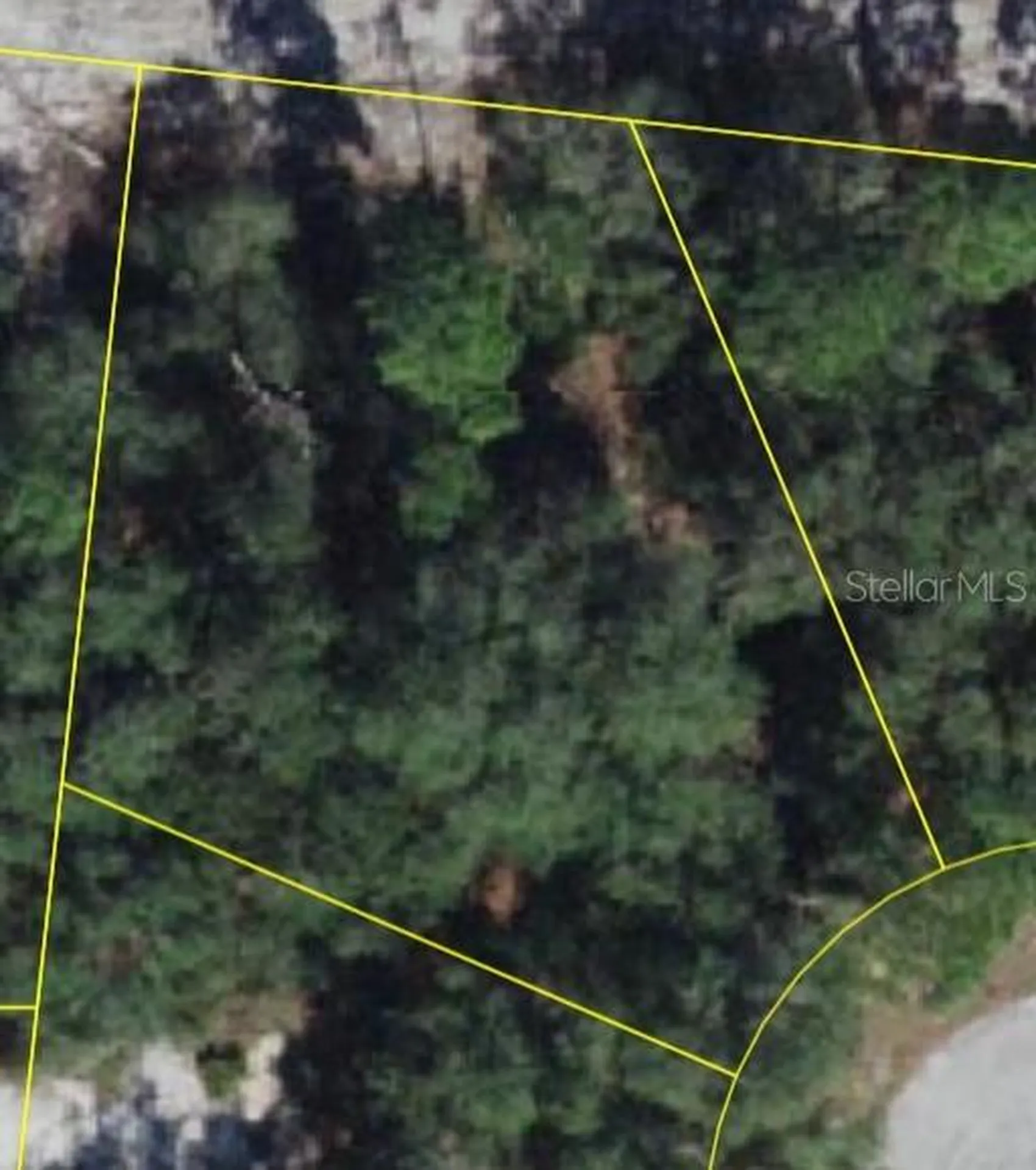 1206 Vernon Lane Kissimmee FL 34759