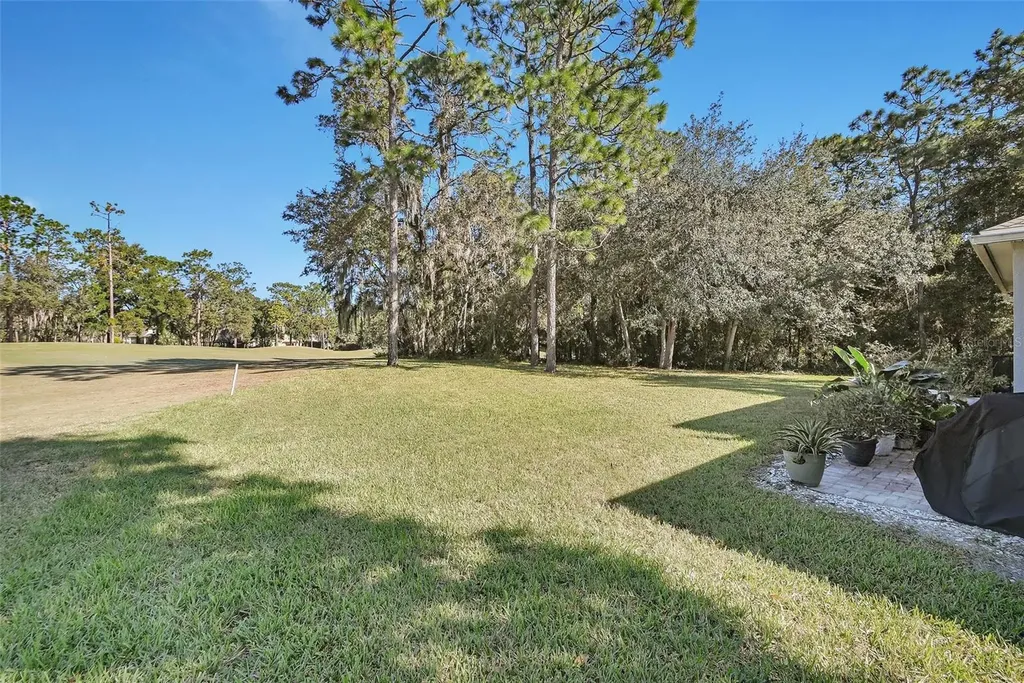 122 Pennyroyal Lane Deland FL 32724
