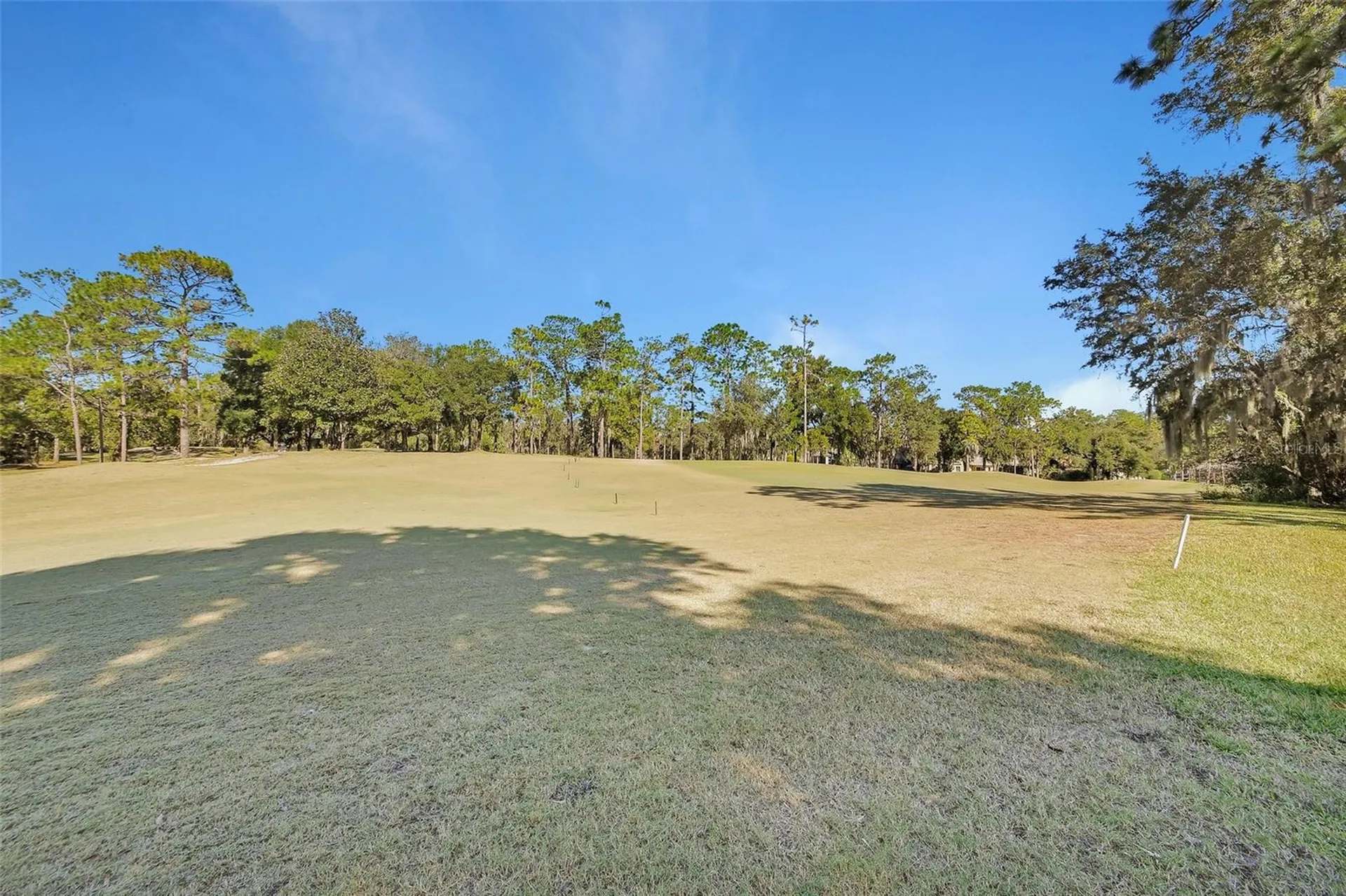 122 Pennyroyal Lane Deland FL 32724