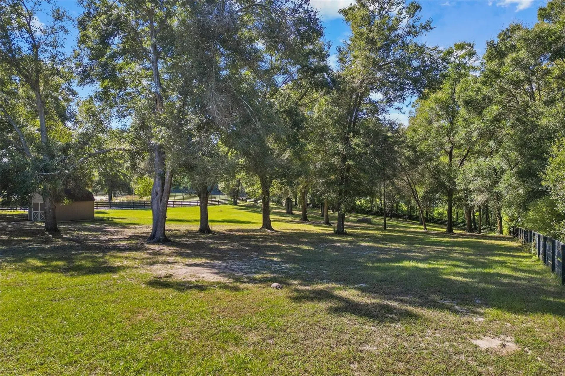 35603 Seneca Reserve Drive Eustis FL 32736