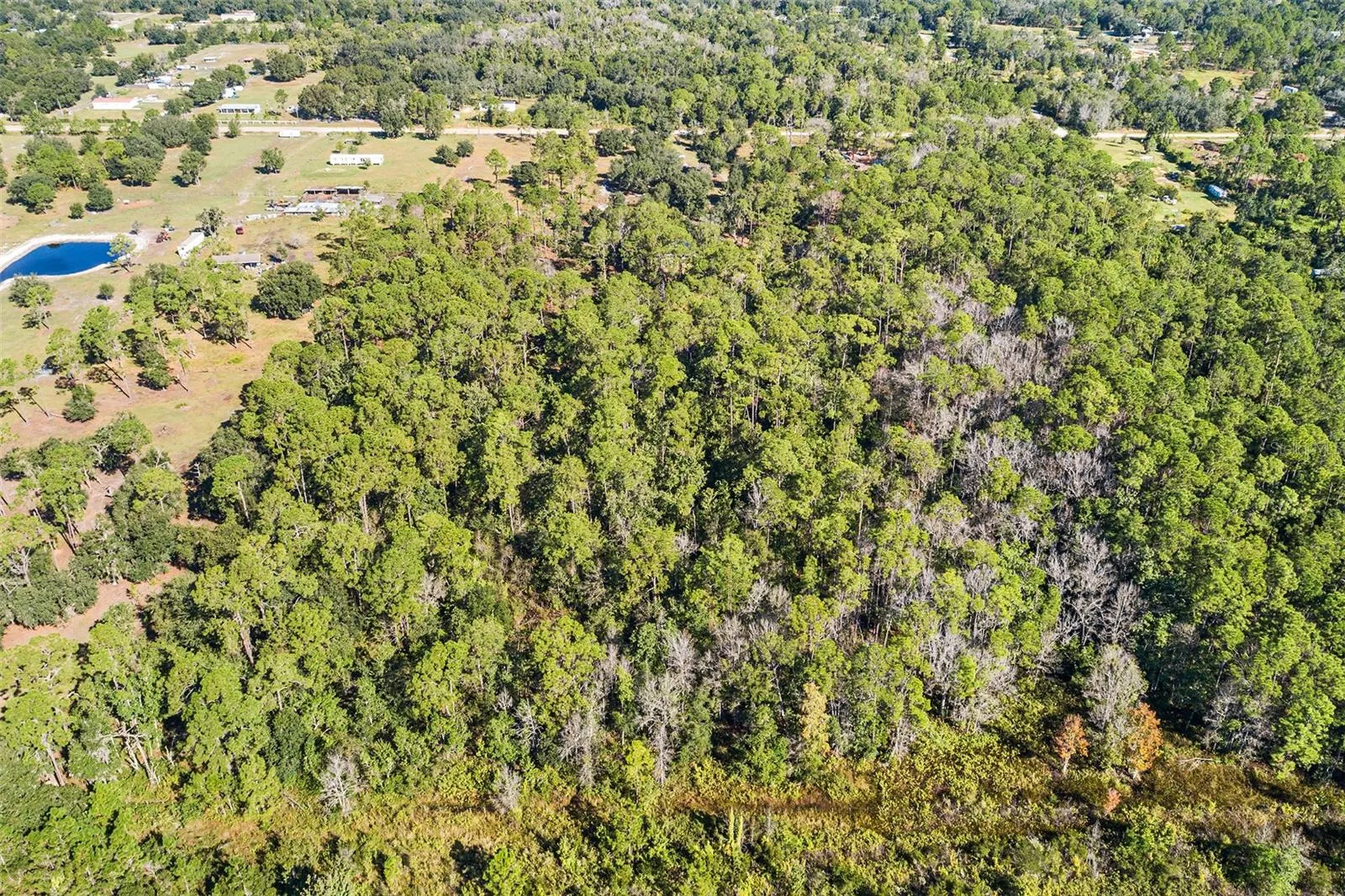 1405 Fazzini Drive Frostproof FL 33843