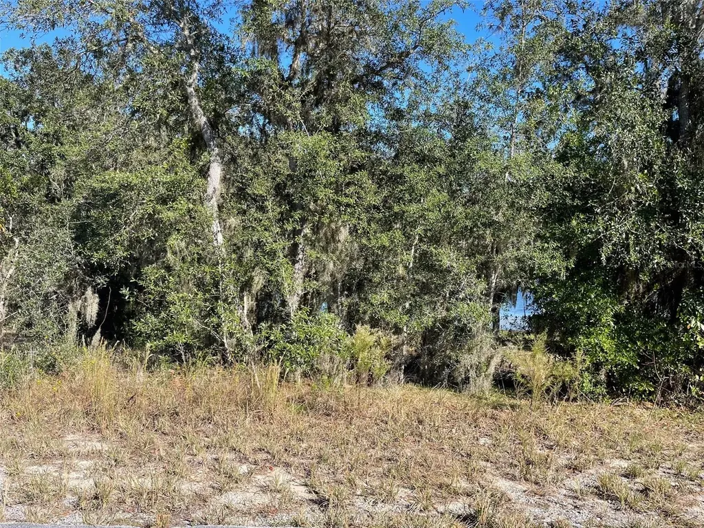 Lots 444, 445 SW Shorewood Drive Dunnellon FL 34431