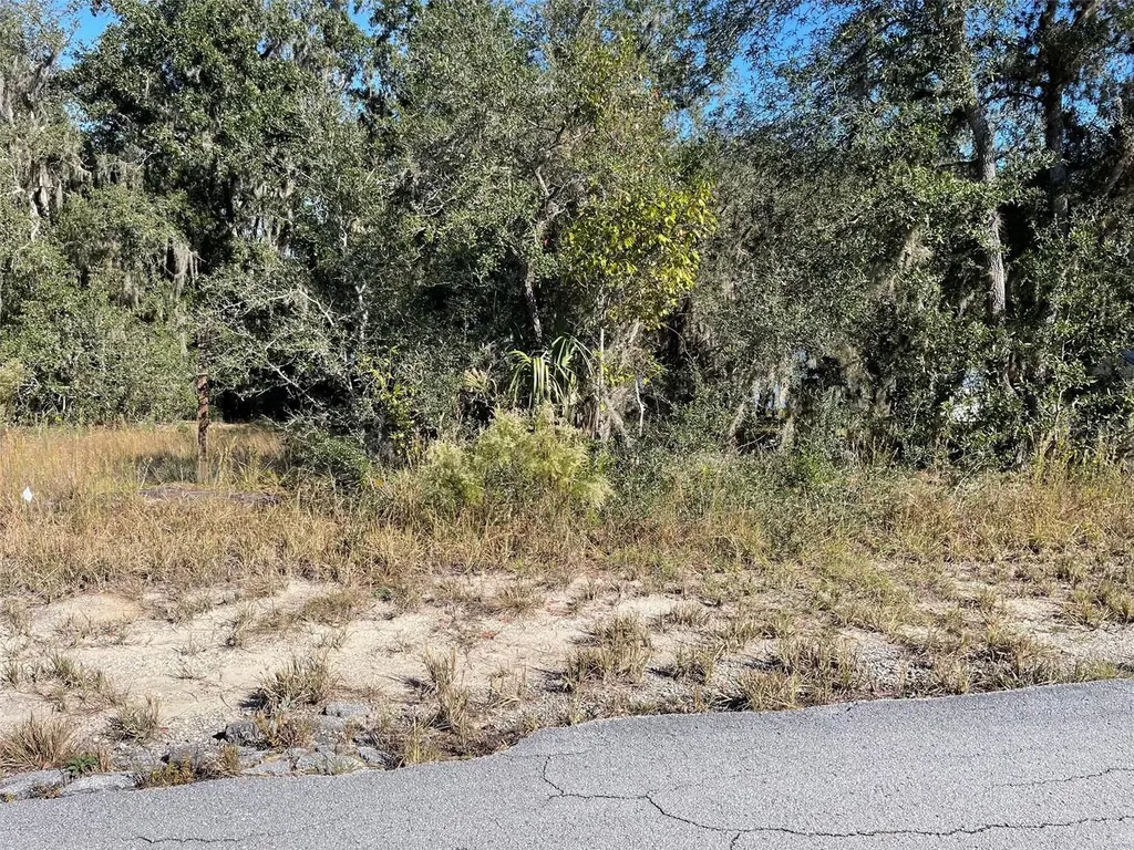 Lots 444, 445 SW Shorewood Drive Dunnellon FL 34431