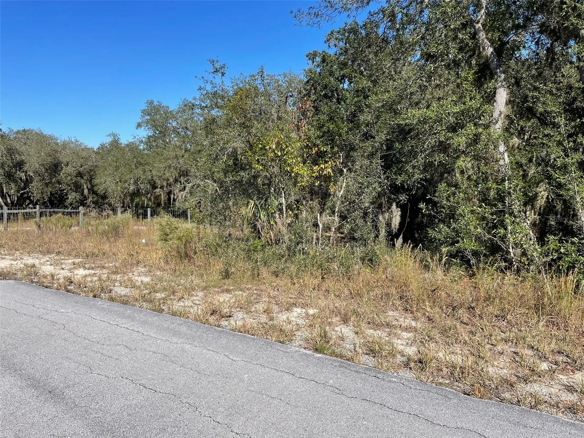 Lots 444, 445 SW Shorewood Drive Dunnellon FL 34431