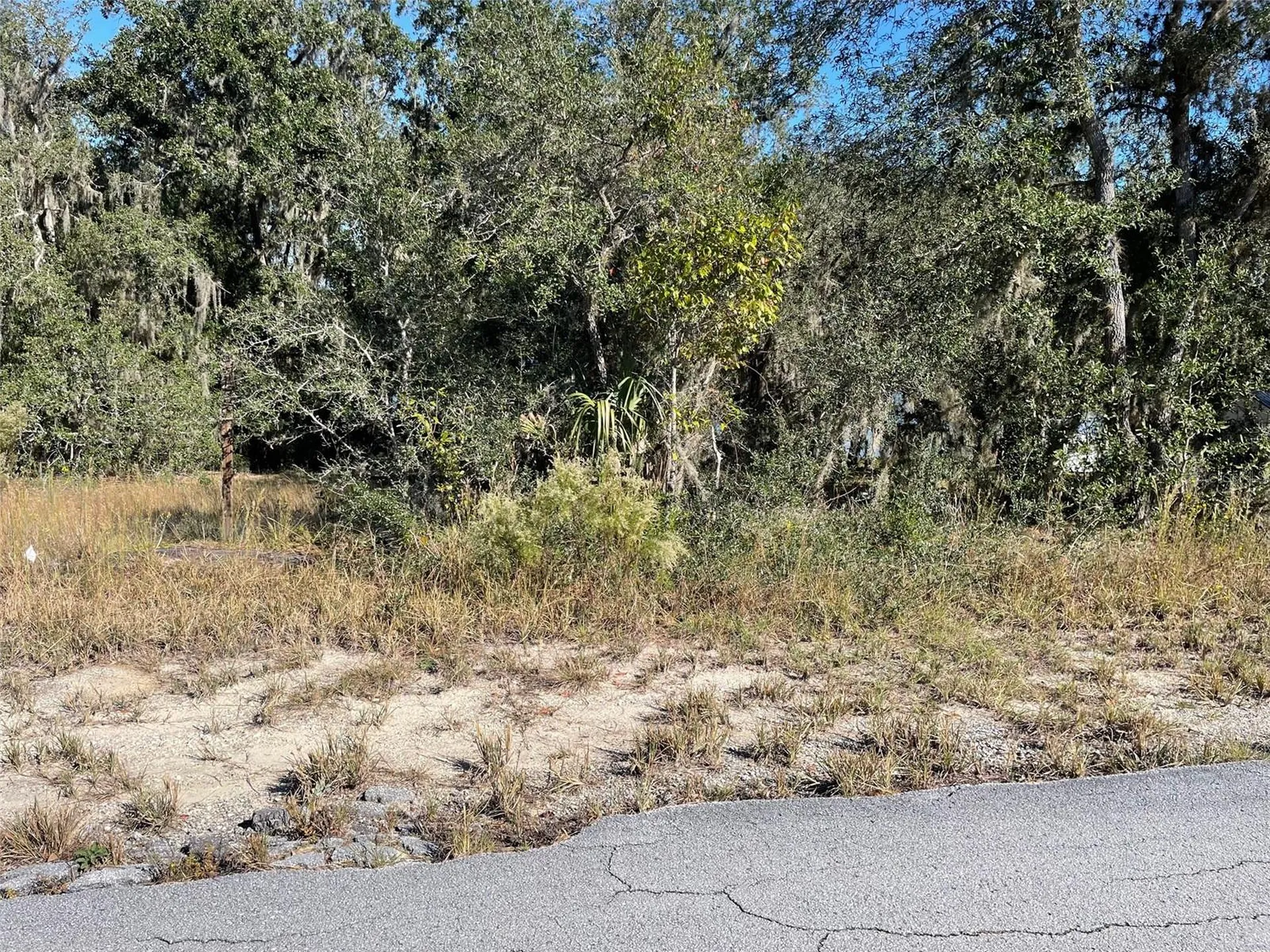 Lots 444, 445 SW Shorewood Drive Dunnellon FL 34431