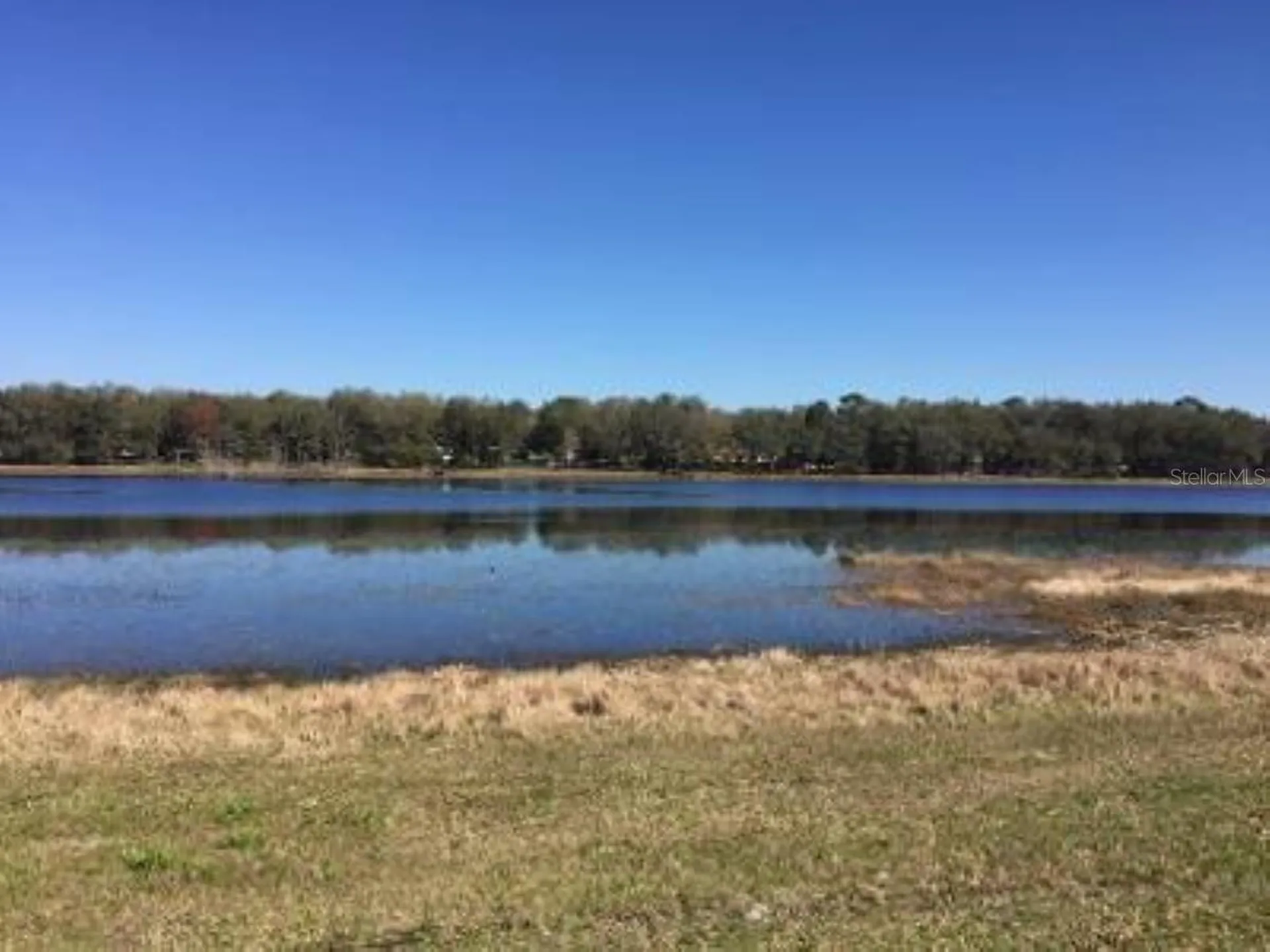 Lots 444, 445 SW Shorewood Drive Dunnellon FL 34431