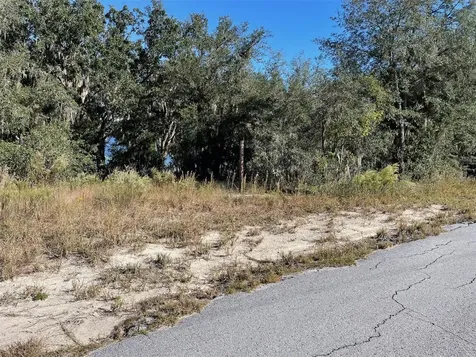 Lots 444, 445 SW Shorewood Drive Dunnellon FL 34431