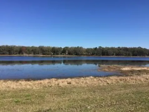 Lots 444, 445 SW Shorewood Drive Dunnellon FL 34431