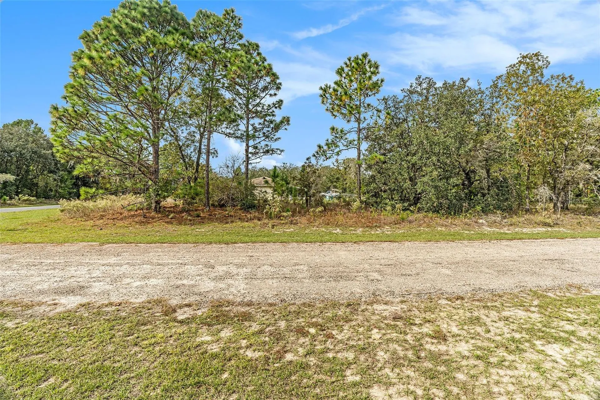 1541 W Riley Drive Dunnellon FL 34434