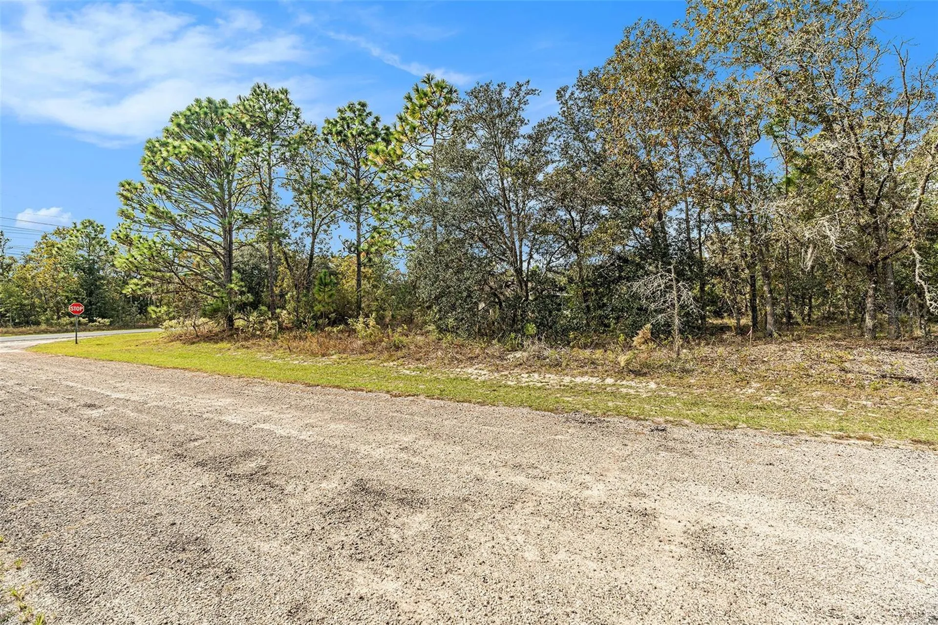 1541 W Riley Drive Dunnellon FL 34434
