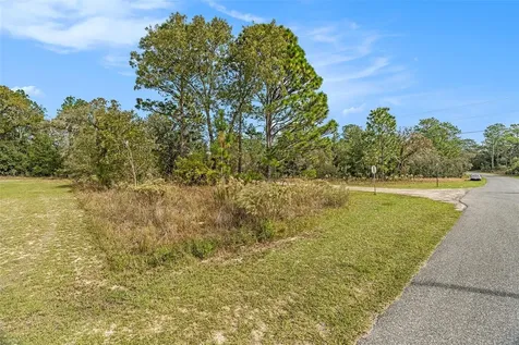 1541 W Riley Drive Dunnellon FL 34434
