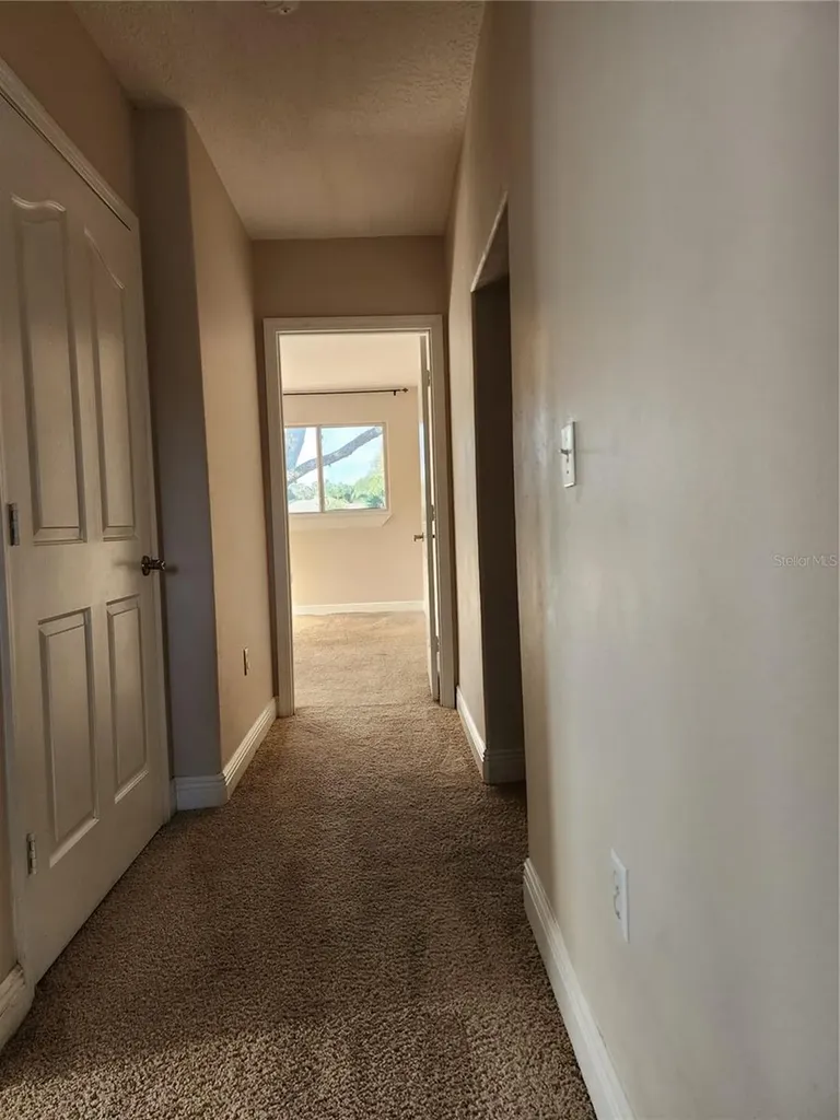 24247 Wolf Branch Road Sorrento FL 32776