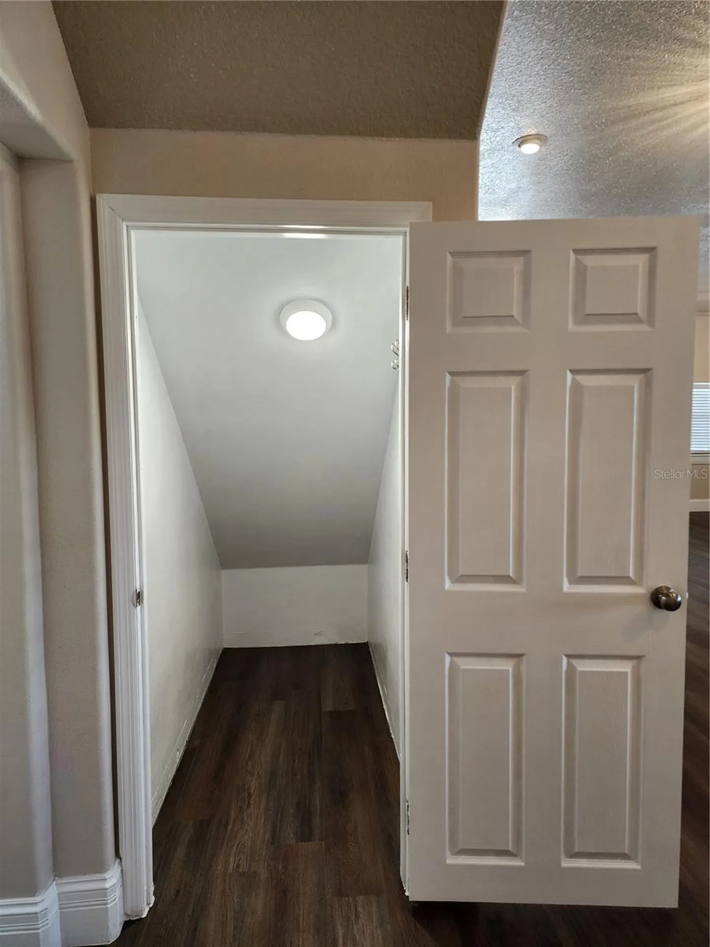 24247 Wolf Branch Road Sorrento FL 32776