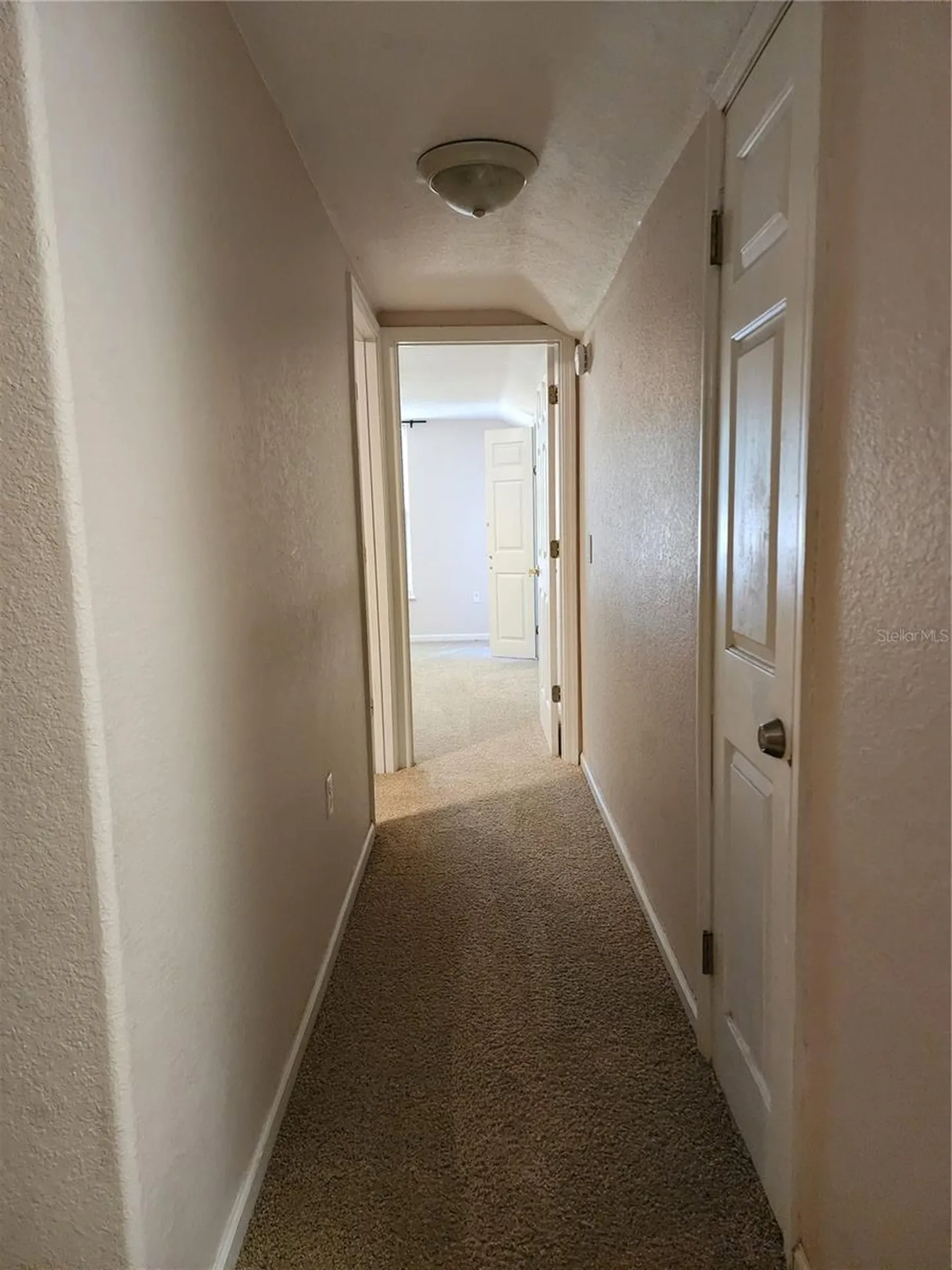 24247 Wolf Branch Road Sorrento FL 32776