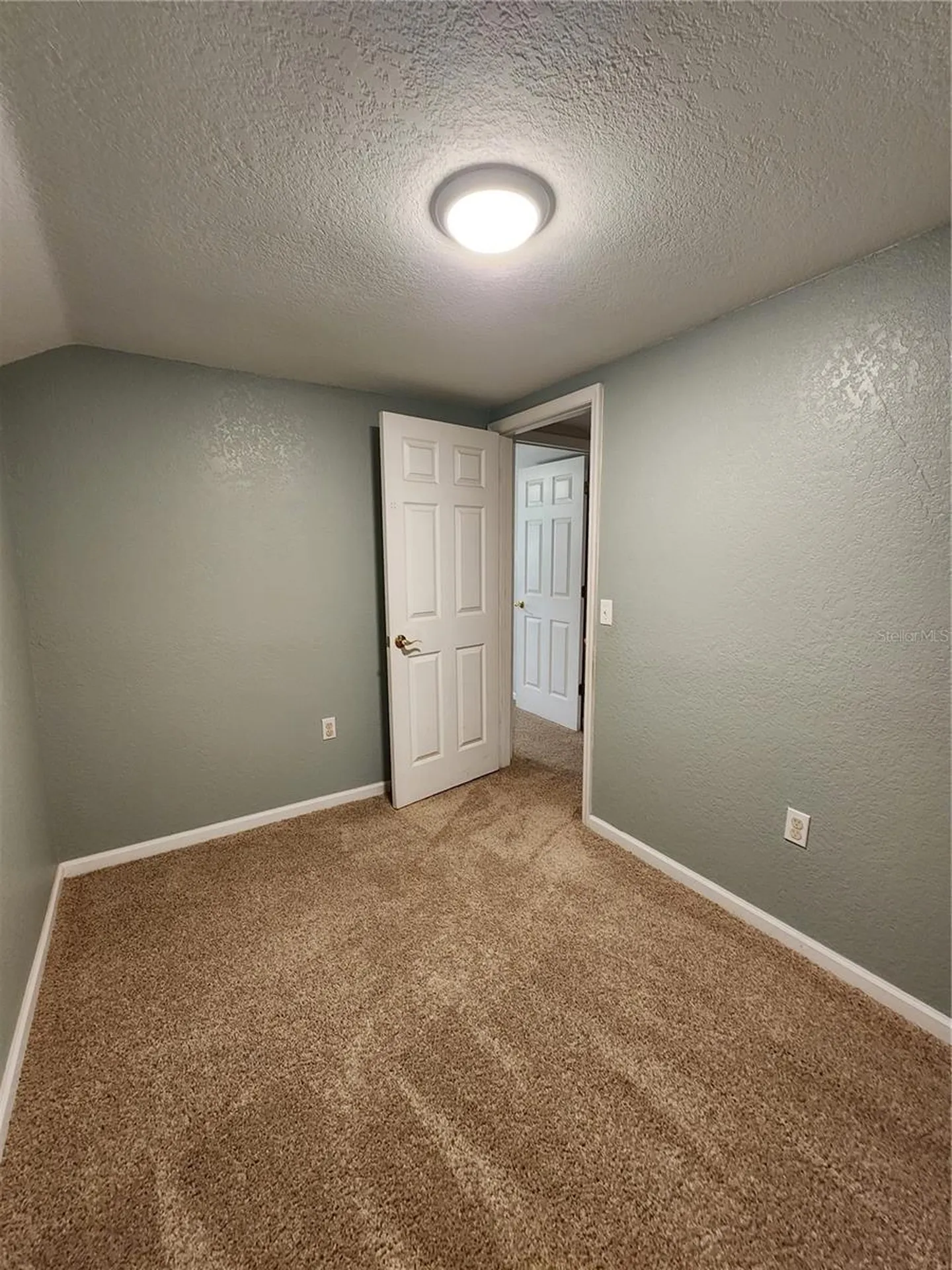 24247 Wolf Branch Road Sorrento FL 32776