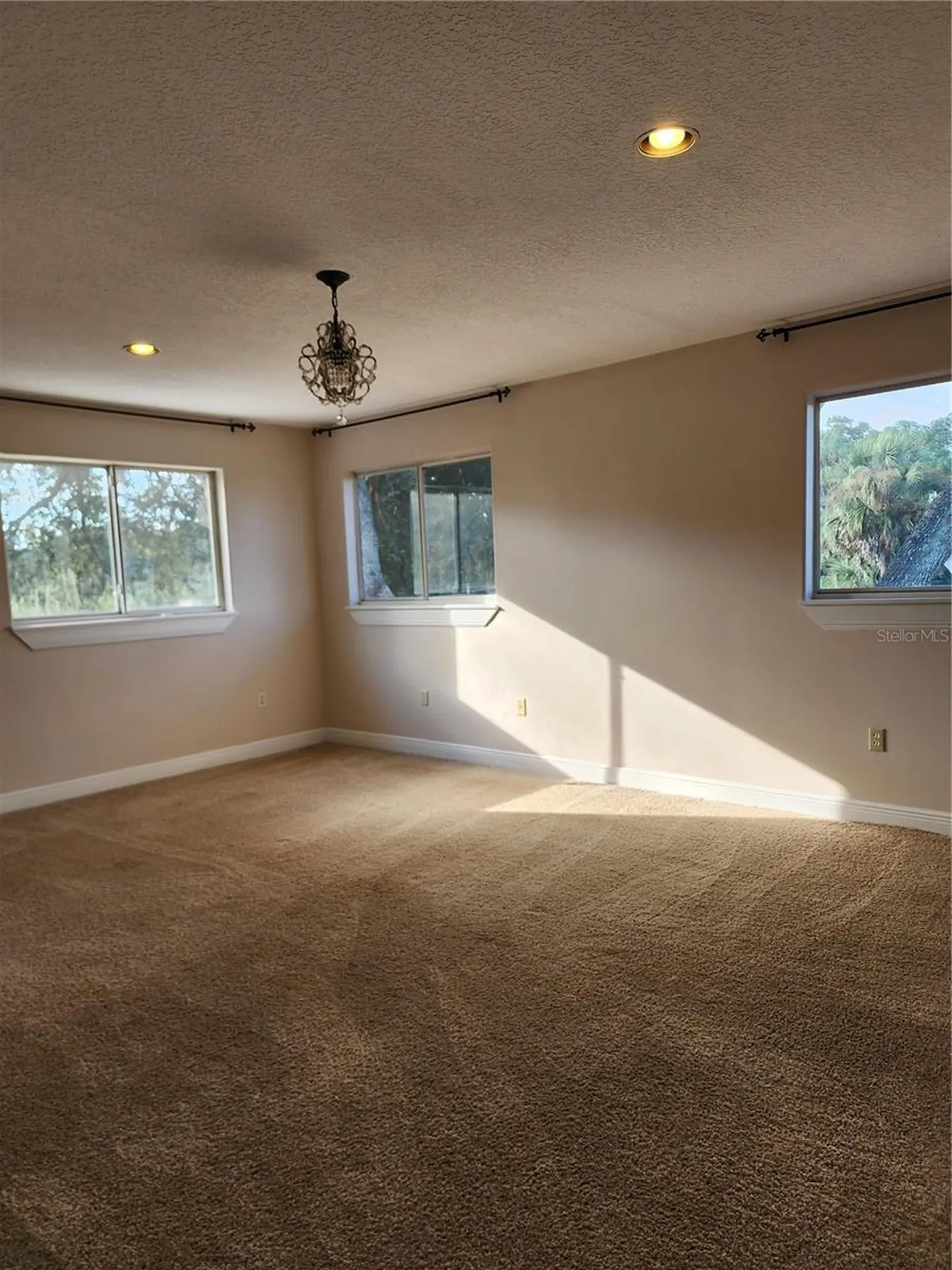 24247 Wolf Branch Road Sorrento FL 32776