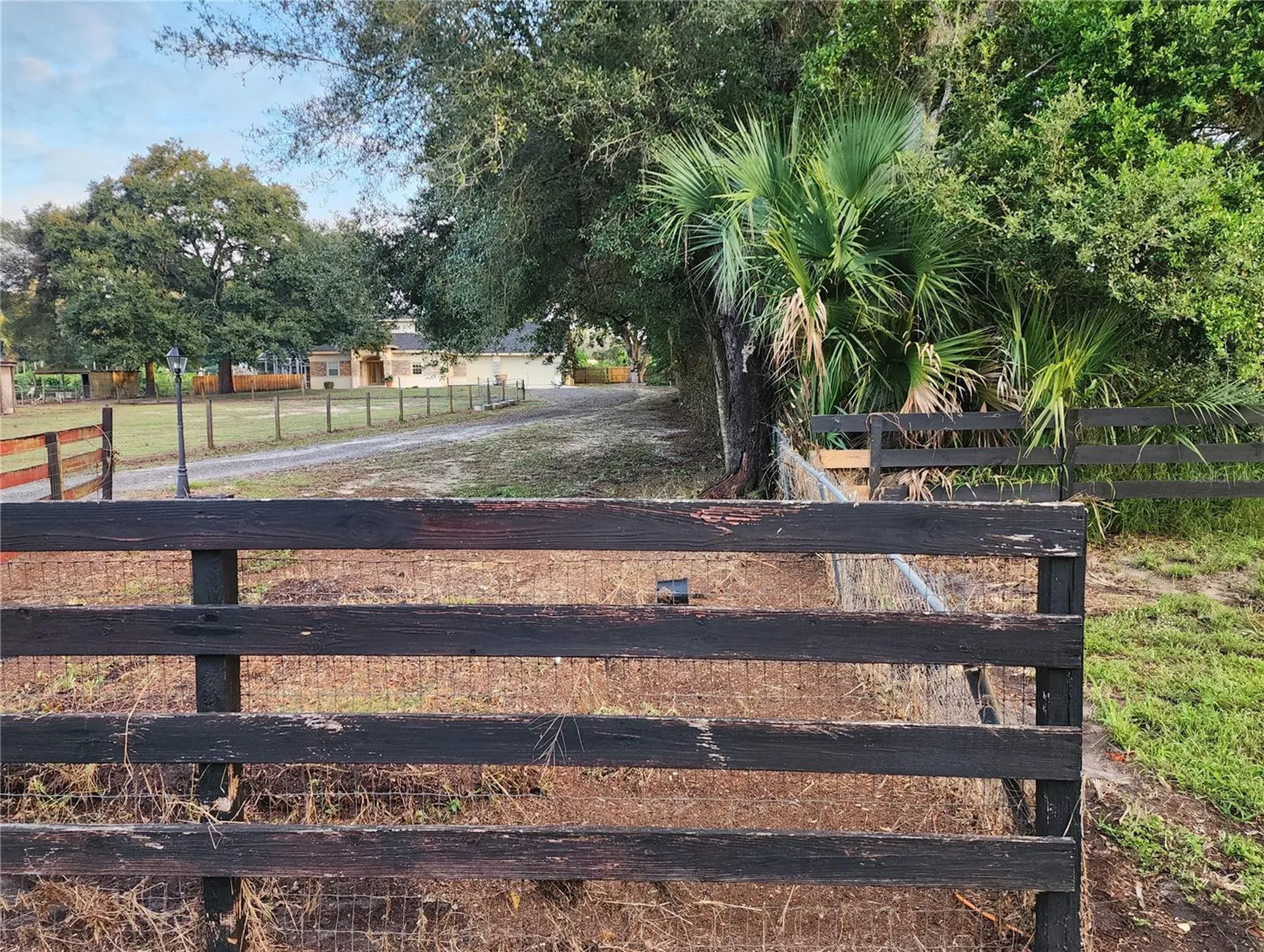 24247 Wolf Branch Road Sorrento FL 32776