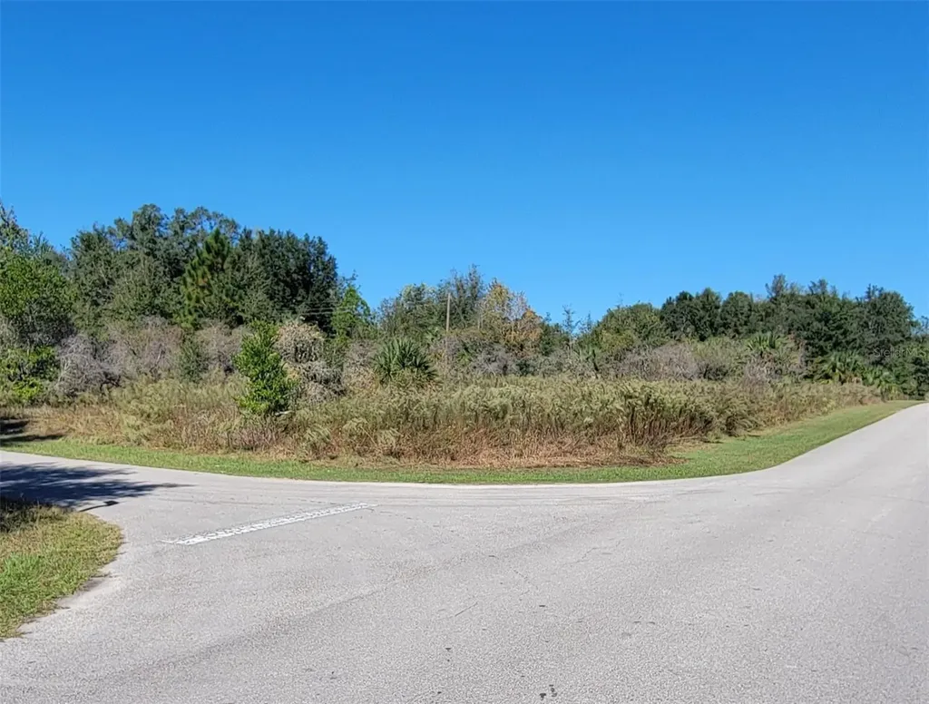 0 SW 82nd Place Dunnellon FL 34431