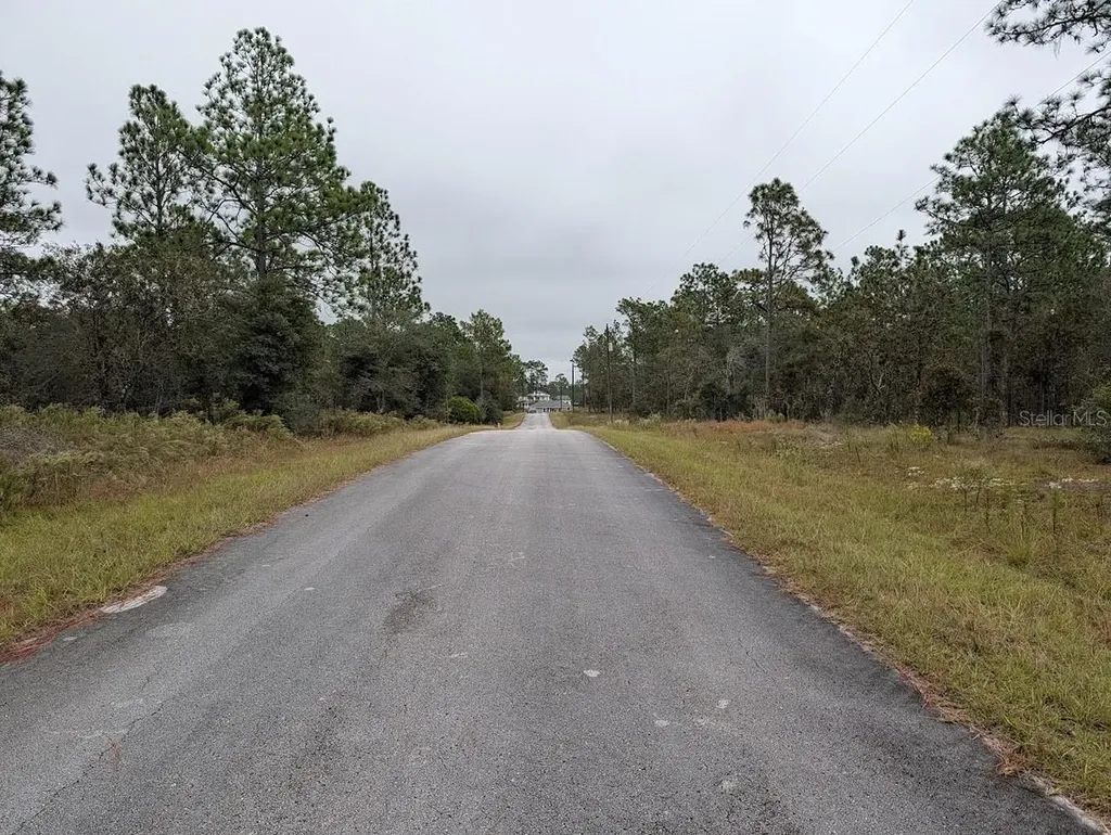 Lot 13 NW Geranium Avenue Dunnellon FL 34431