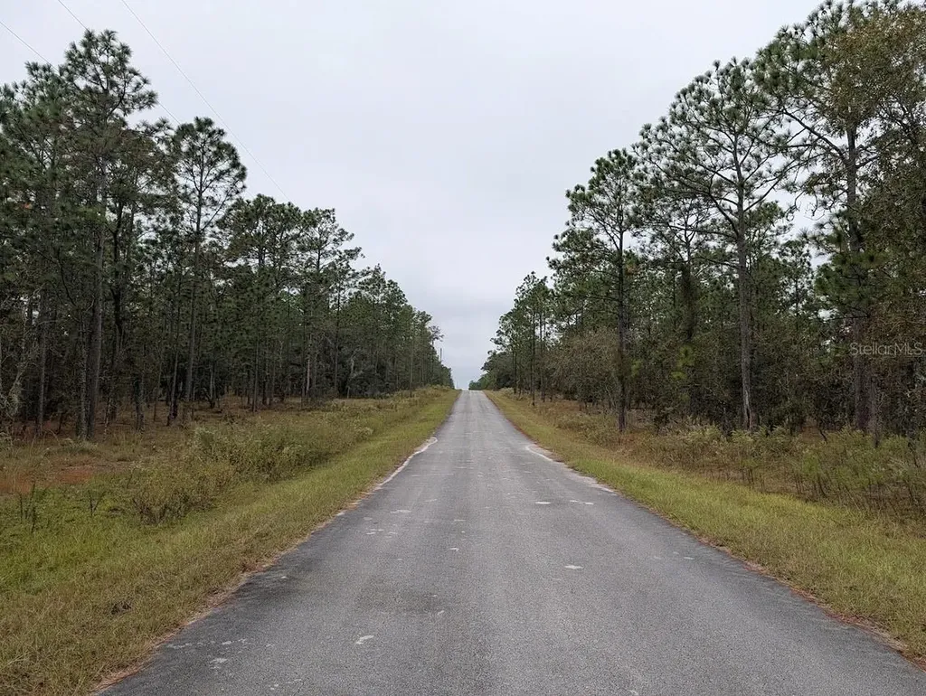 Lot 13 NW Geranium Avenue Dunnellon FL 34431