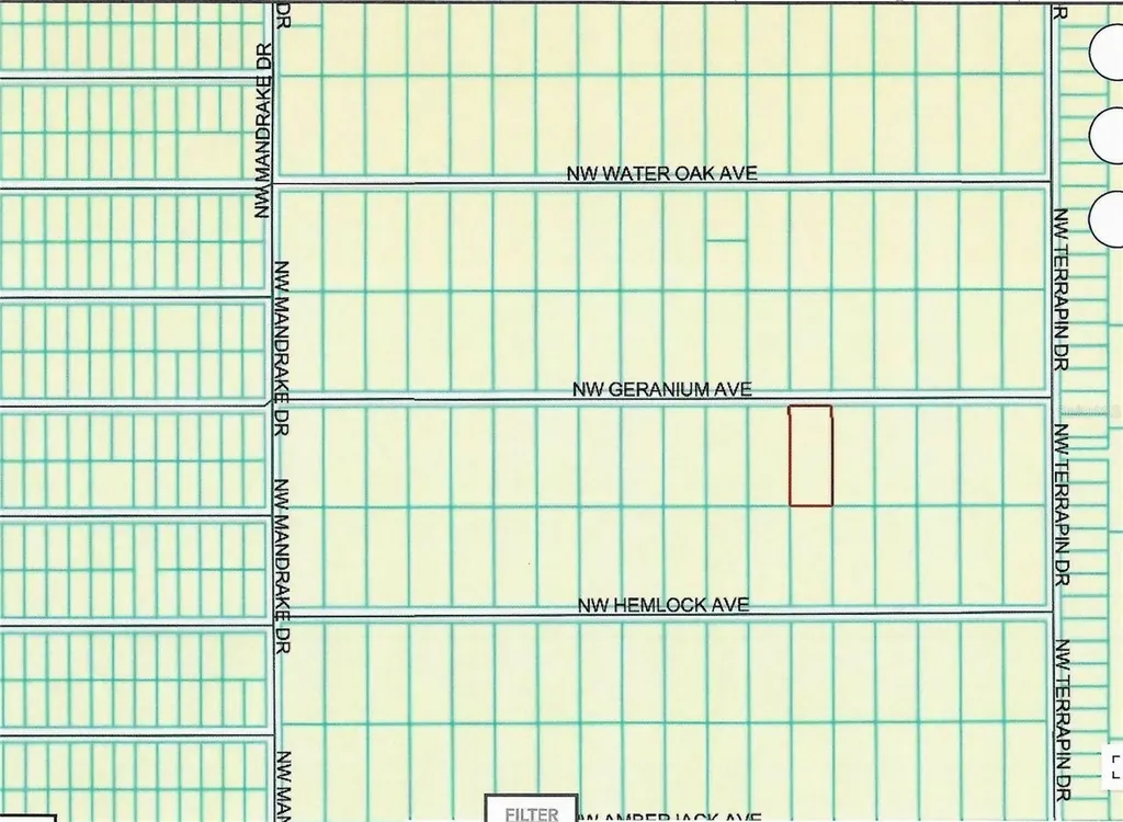 Lot 13 NW Geranium Avenue Dunnellon FL 34431