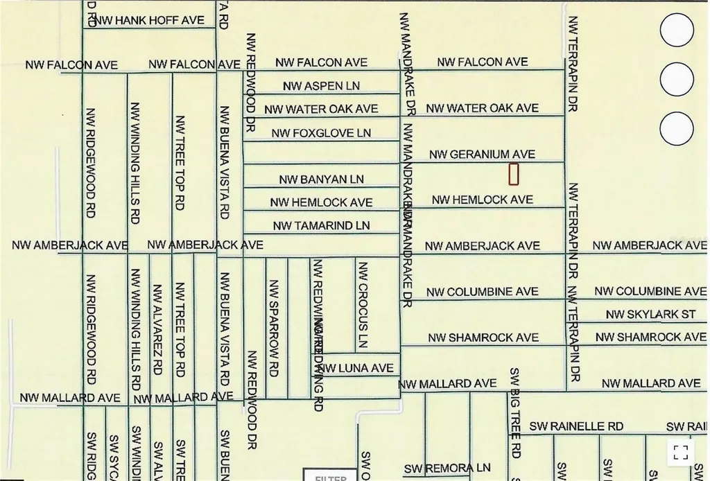 Lot 13 NW Geranium Avenue Dunnellon FL 34431