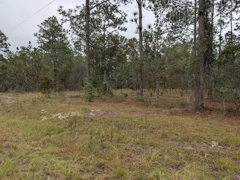 Lot 13 NW Geranium Avenue Dunnellon FL 34431