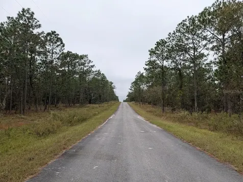 Lot 13 NW Geranium Avenue Dunnellon FL 34431