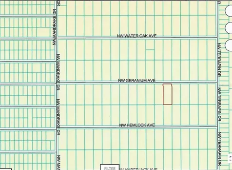 Lot 13 NW Geranium Avenue Dunnellon FL 34431