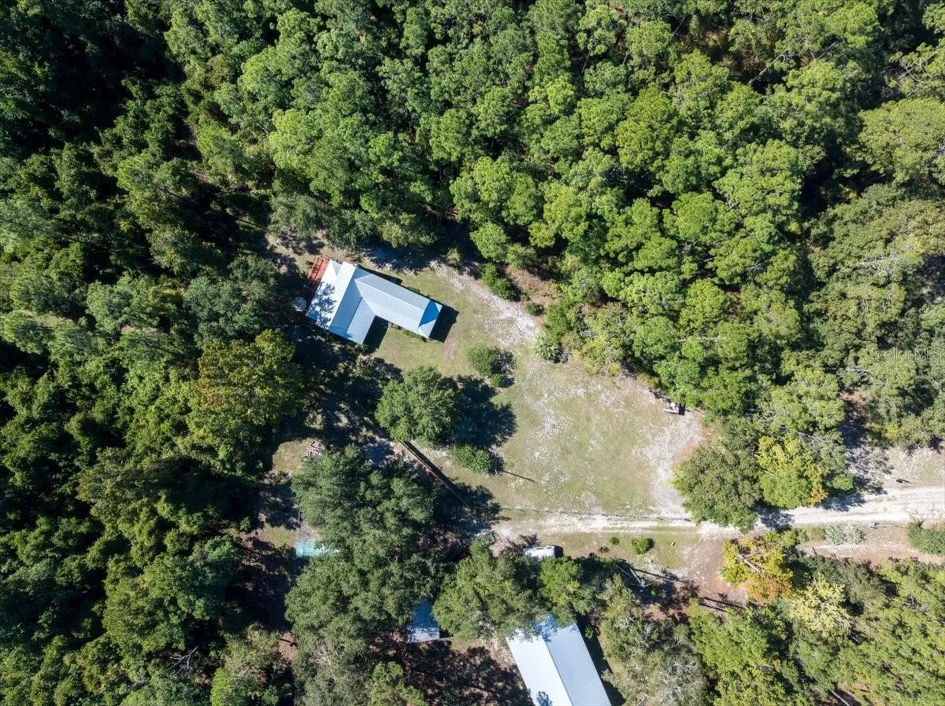 21317 SE 111th Avenue Hawthorne FL 32640