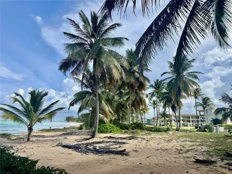 2903 Urb. Ocean Forest Rio Grande PR 00745
