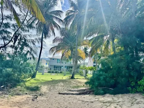 2903 Urb. Ocean Forest Rio Grande PR 00745