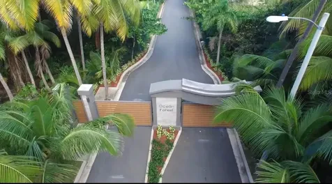 2903 Urb. Ocean Forest Rio Grande PR 00745