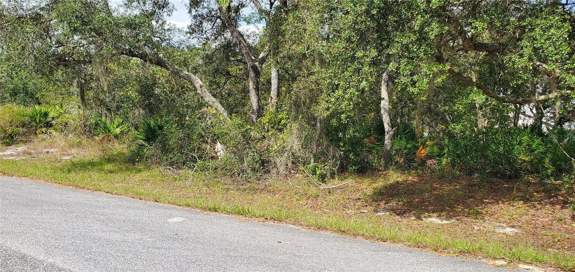 1227 Alafia Way Kissimmee FL 34759