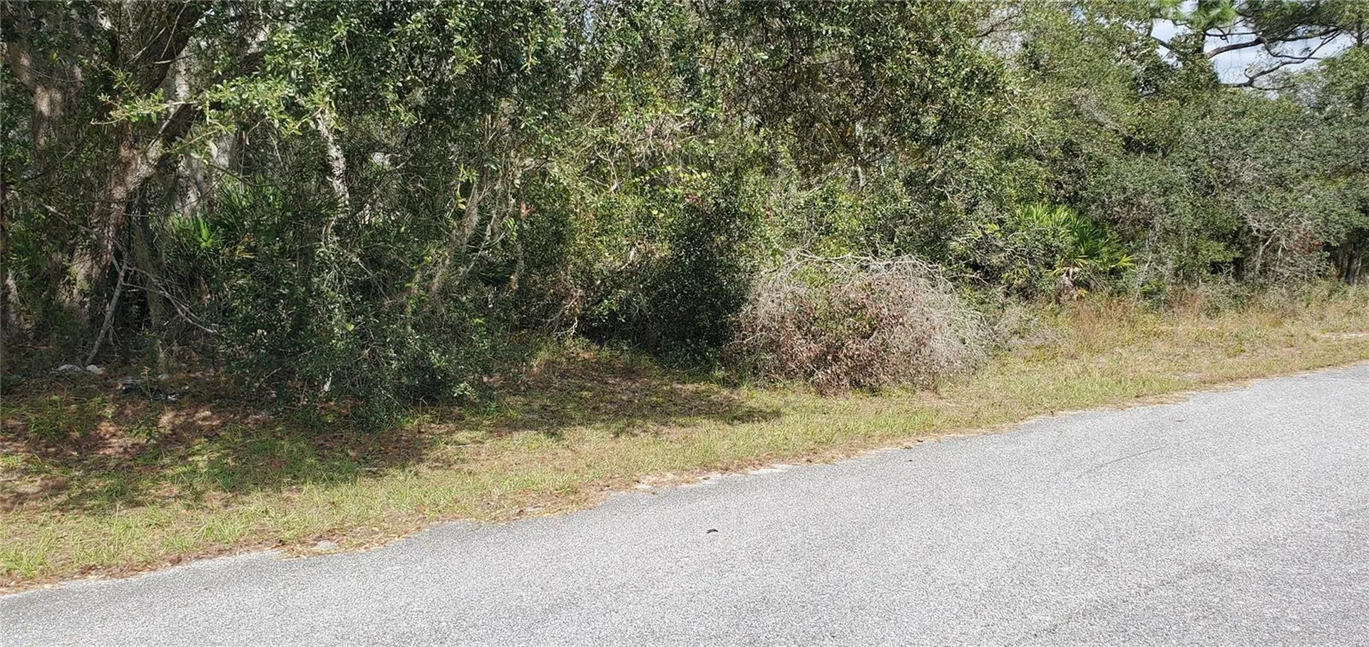 1227 Alafia Way Kissimmee FL 34759