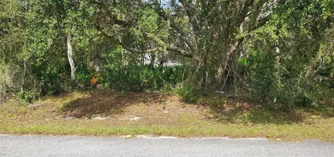 1227 Alafia Way Kissimmee FL 34759