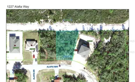 1227 Alafia Way Kissimmee FL 34759