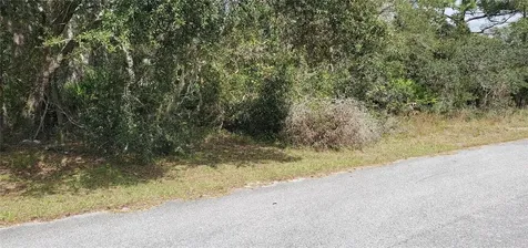 1227 Alafia Way Kissimmee FL 34759