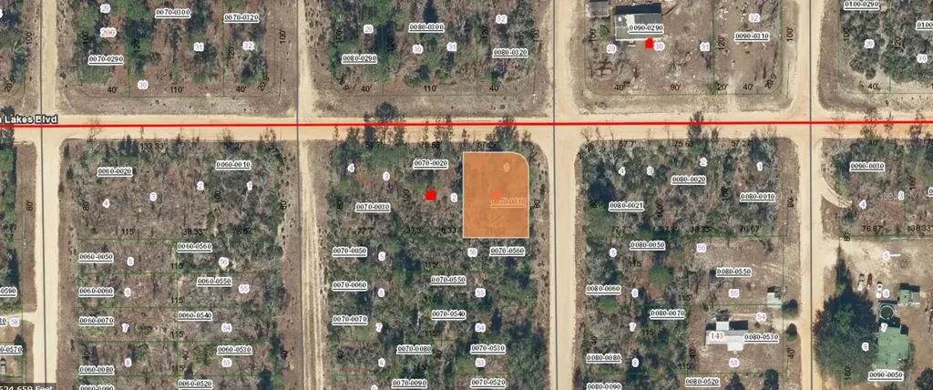 05-10-24-9045-0070-0010 Twin Lakes Boulevard Interlachen FL 32148