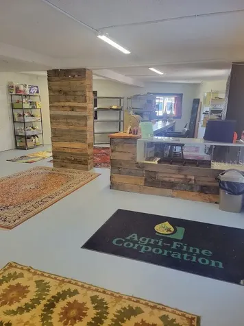 5205 Haines Road N St Petersburg FL 33714