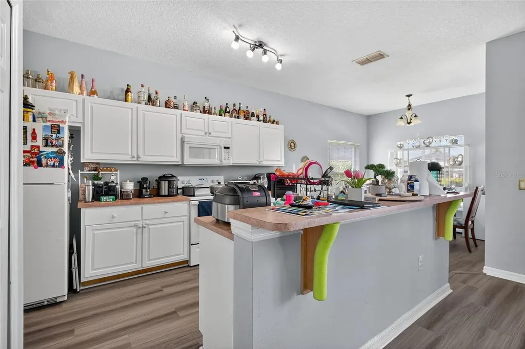 1202 Cumbrian Lakes Court Kissimmee FL 34746