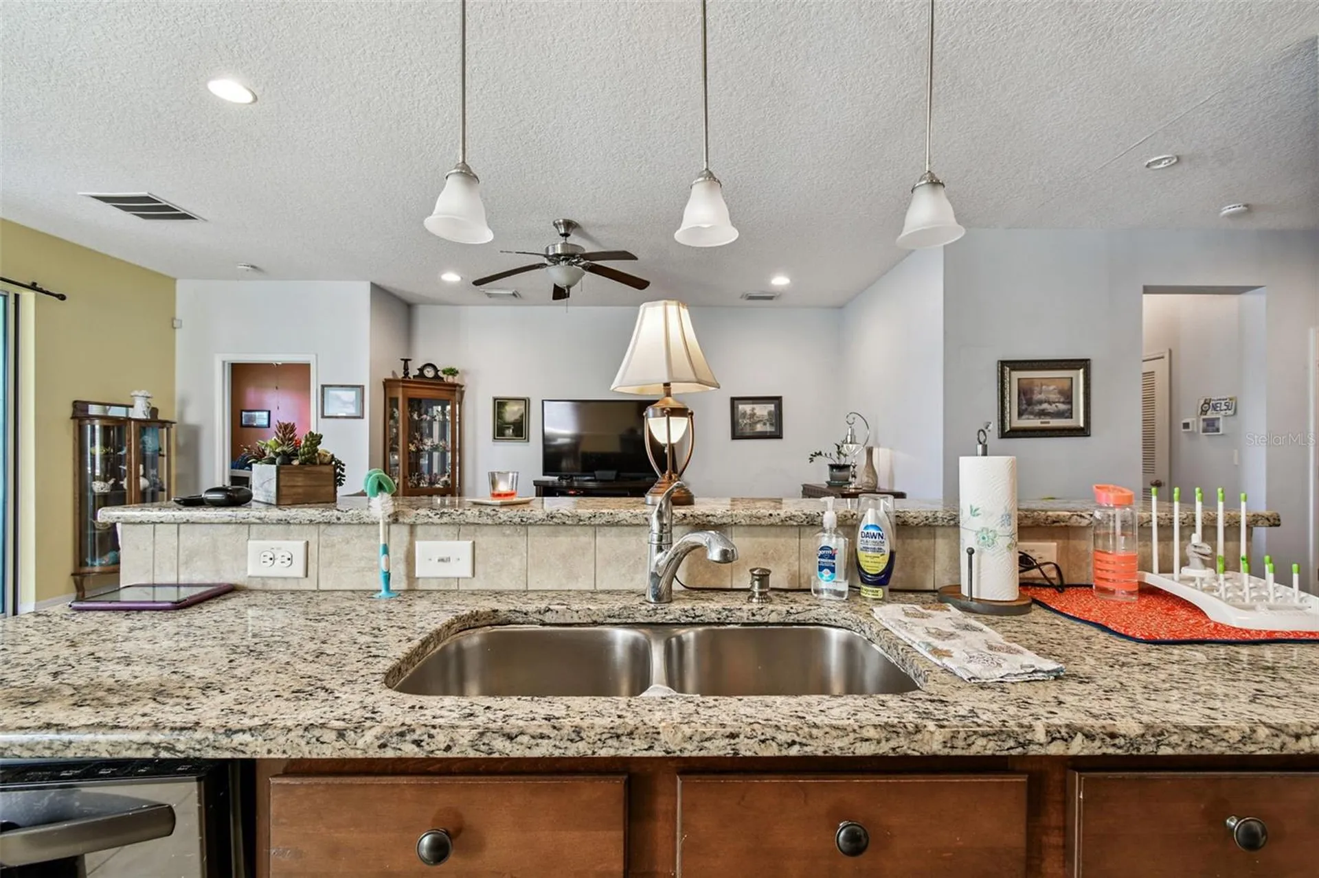 1110 Lauren Manor Loop Ruskin FL 33570