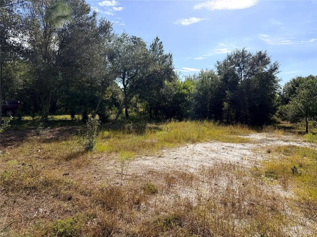 13263 Banyan Drive Punta Gorda FL 33955