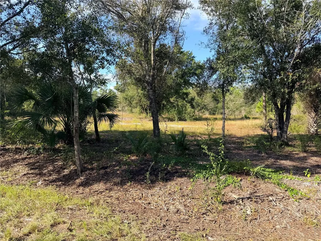 13263 Banyan Drive Punta Gorda FL 33955