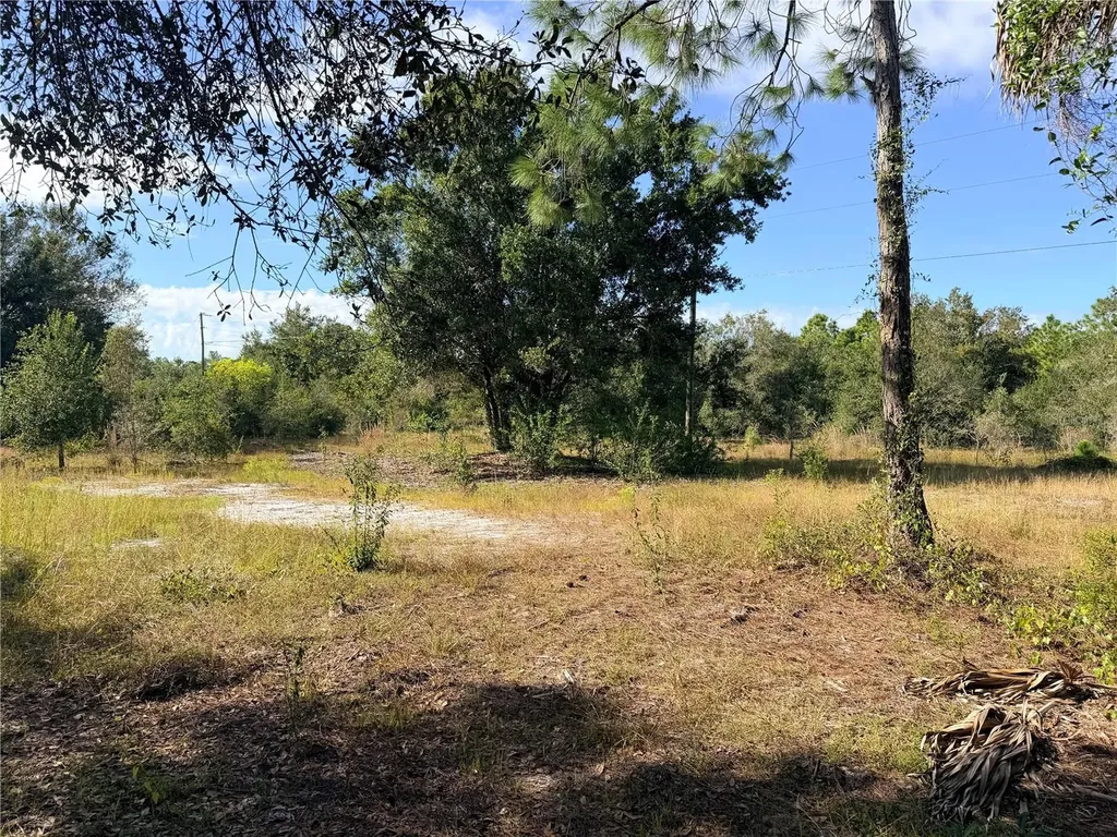 13263 Banyan Drive Punta Gorda FL 33955
